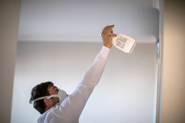 Mold Testing and Removal in Concord, NC